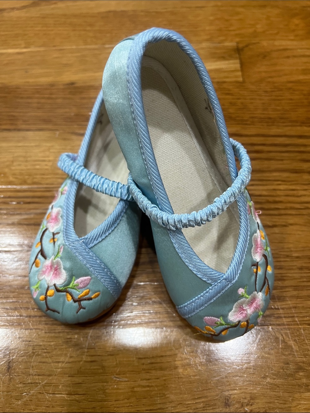 Kids Light Blue Floral Embroidered Mary Jane Ballet Flats